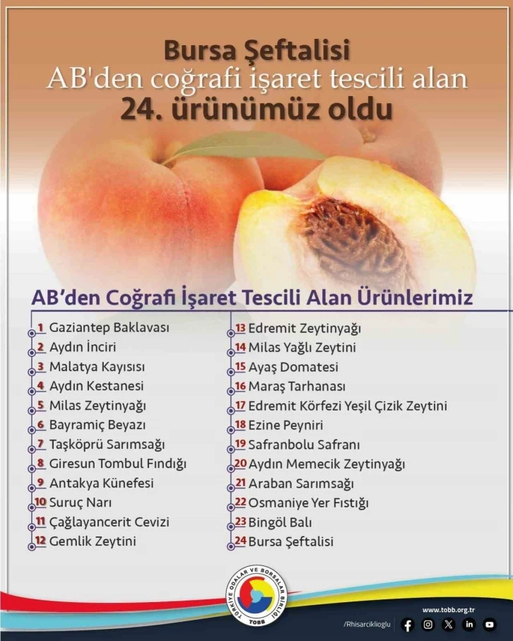 TOBB Başkanı Hisarcıklıoğlu: "Avrupa Birliği’nden coğrafi işaret tescili alan 24. ürünümüz Bursa şeftalisi oldu"