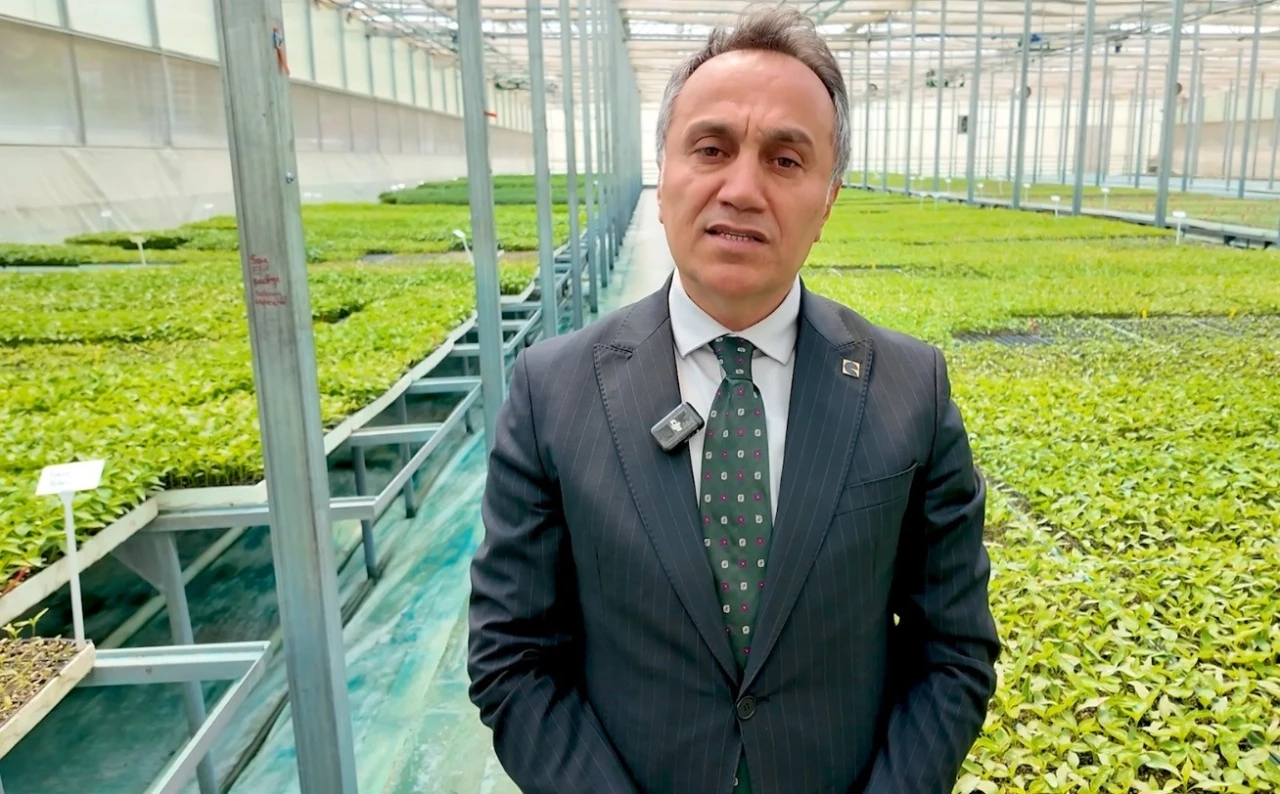 TOGÜ 1 milyon fideyi üreticiyle buluşturacak
