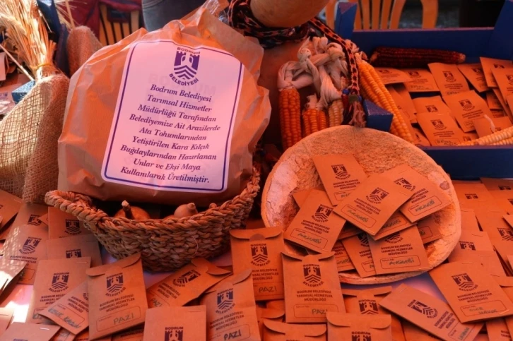 Tohum Takas Şenliği 3 Mart&rsquo;ta Bodrum&rsquo;da