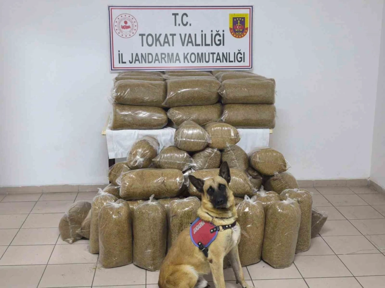Tokat’ta 340 kilo kaçak tütün ele geçirildi

