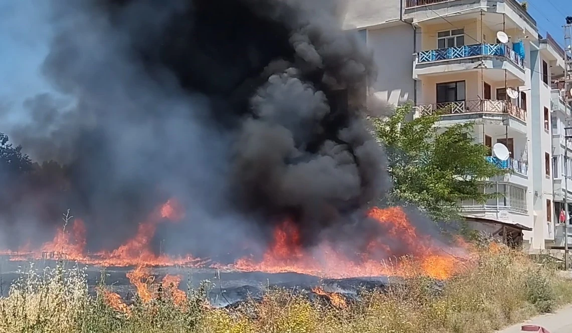 Tokat’ta arazide çıkan yangın evlere sıçramadan söndürüldü
