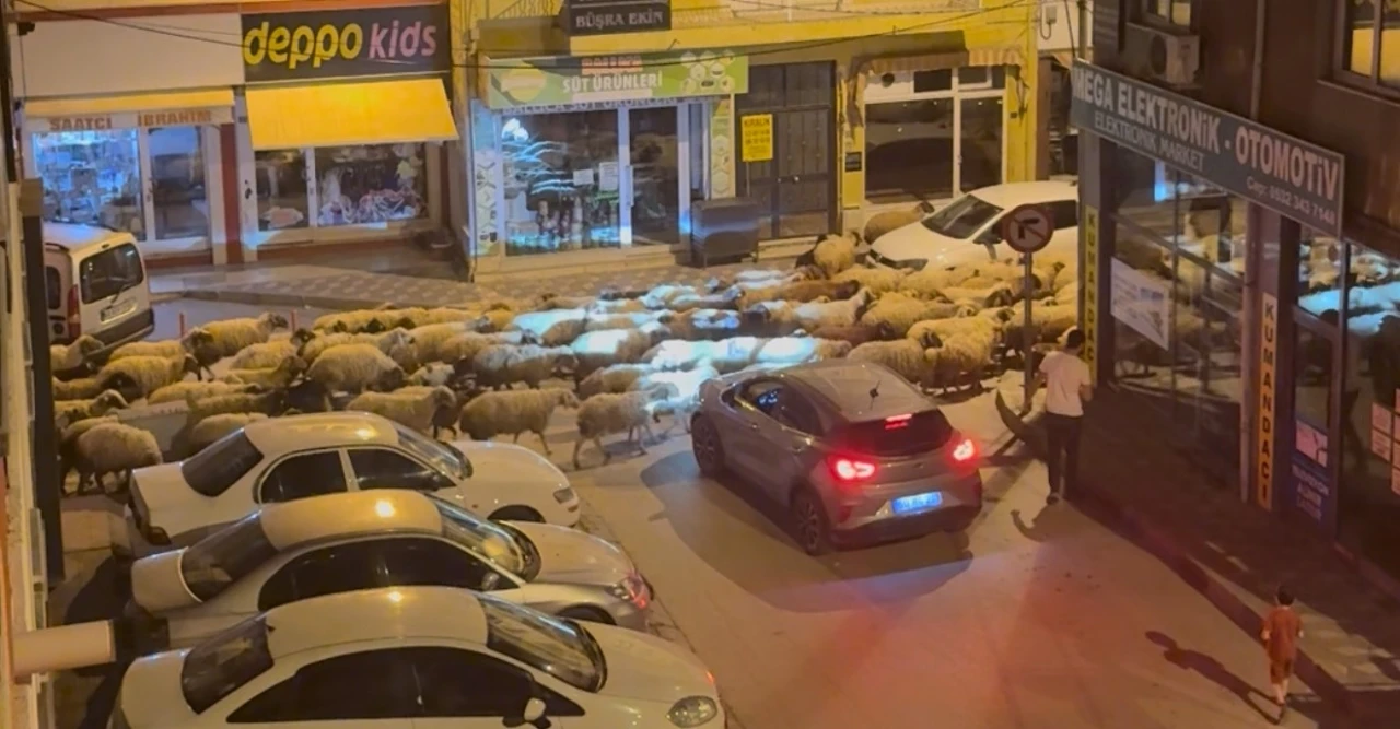 Tokat’ta gece başlayan yayla göçü dronla görüntülendi
