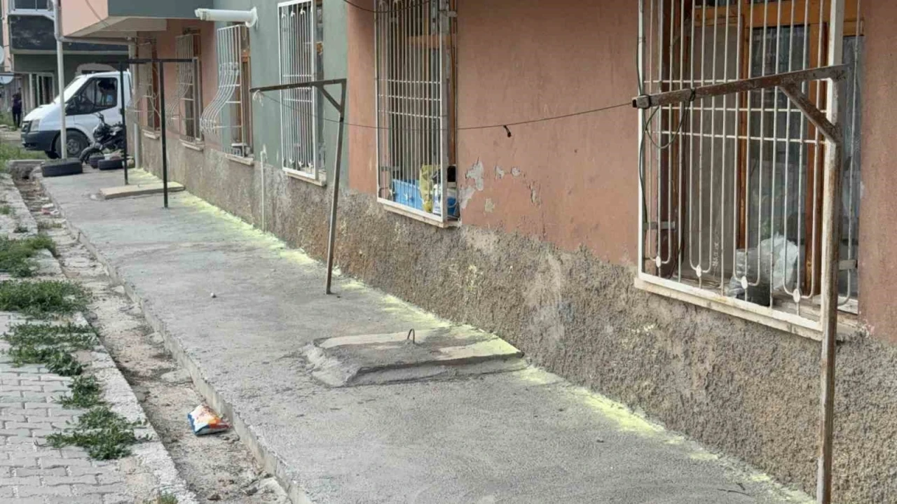 Tokat’ta iki kadının &quot;fare kovma&quot; yöntemi apartman sakinlerini hastanelik etti
