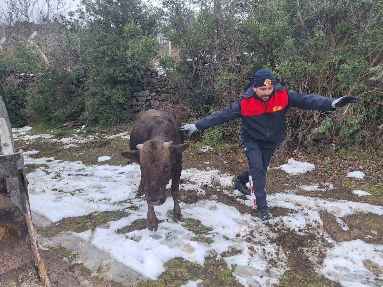 Tokat&rsquo;ta su kuyusuna d&uuml;şen inek kurtarıldı
