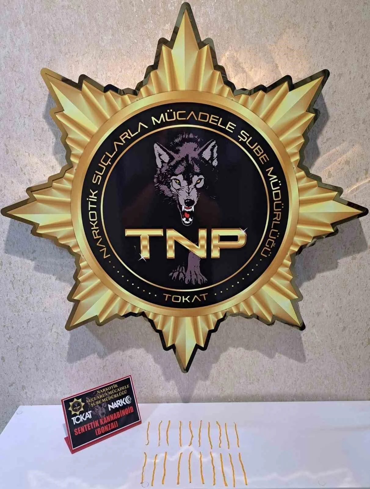 Tokat’ta uyuÅŸturucu operasyonu, 500 içimlik bonzai ele geçirildi