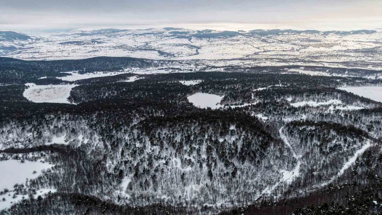 Tokat&rsquo;taki Kurt G&ouml;l&uuml;&rsquo;n&uuml;n kış manzarası mest etti
