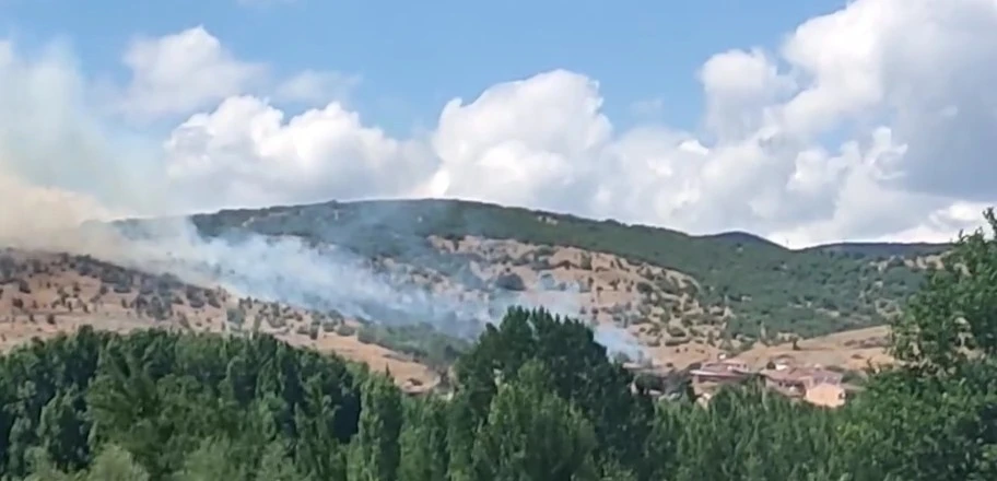 Tokat’taki yangında alevler yerleşim alanına ulaşmadan söndürüldü

