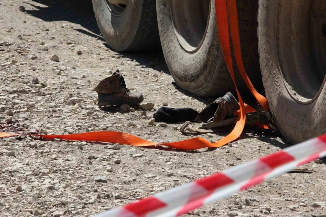 Tonlarca tomruk üzerine devrildi, hastanede hayatını kaybetti
