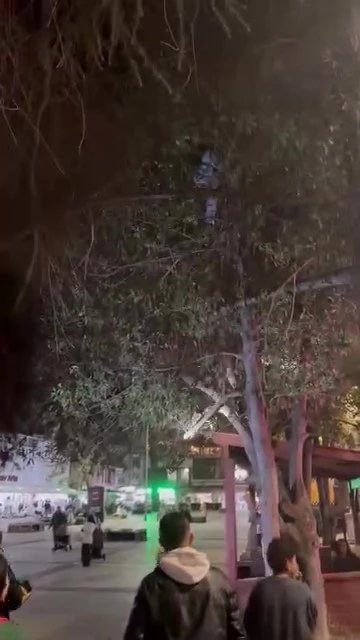 Topunu almak için çıktığı ağaçtan inemeyen çocuğun yardımına itfaiye yetişti
