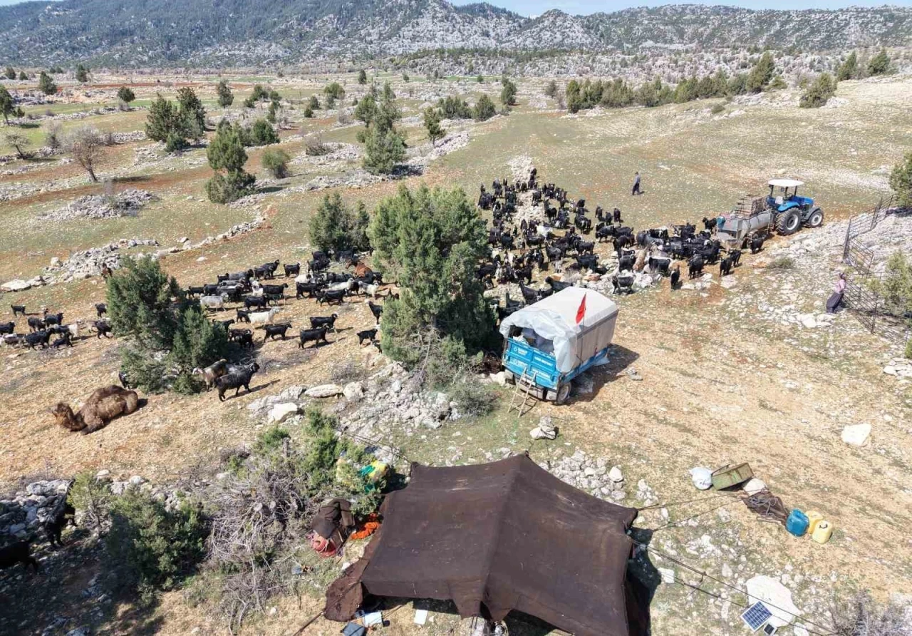 Toroslar&rsquo;da Y&ouml;r&uuml;k g&ouml;&ccedil;&uuml; başladı: Sarıke&ccedil;ililer yayla yolunda
