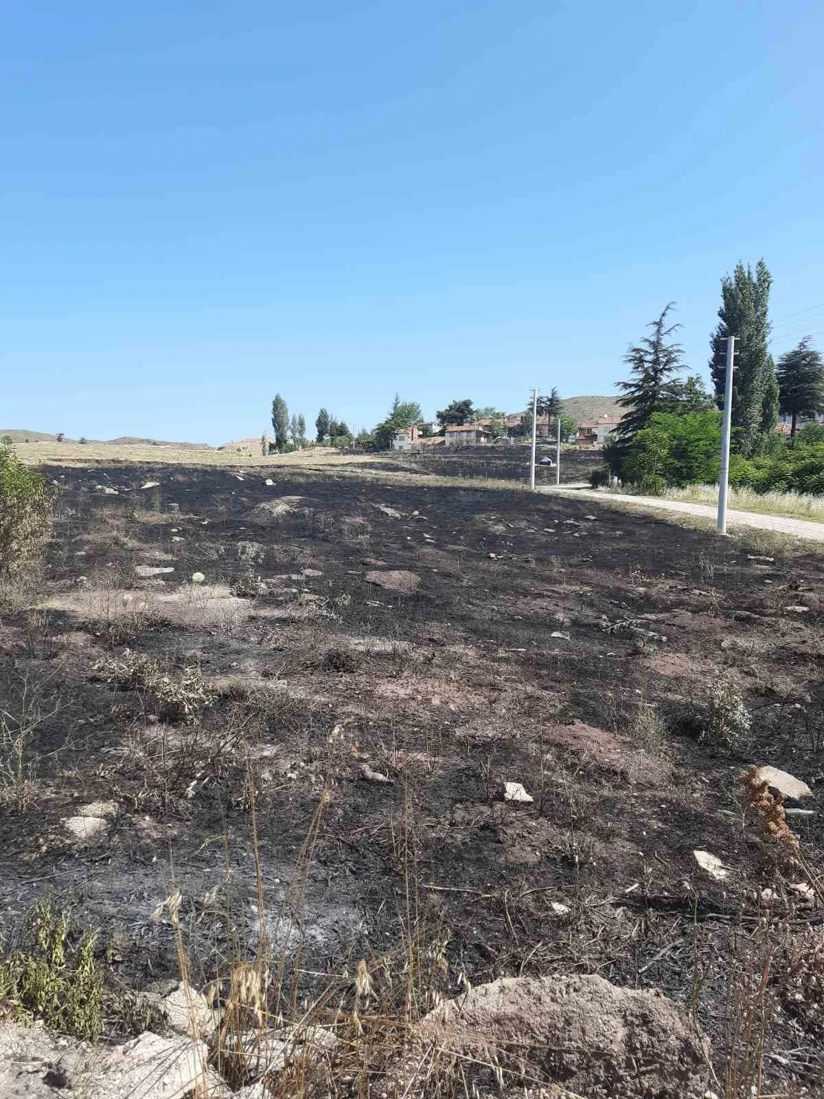 Torpilden çıkan yangında 15 dönümlük arazi kül oldu
