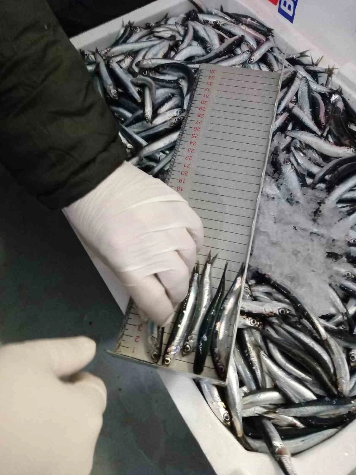 Trabzon&rsquo;da 2025 yılında su &uuml;r&uuml;nleri denetimlerinde 43 kişiye 3,2 milyon TL para cezası
