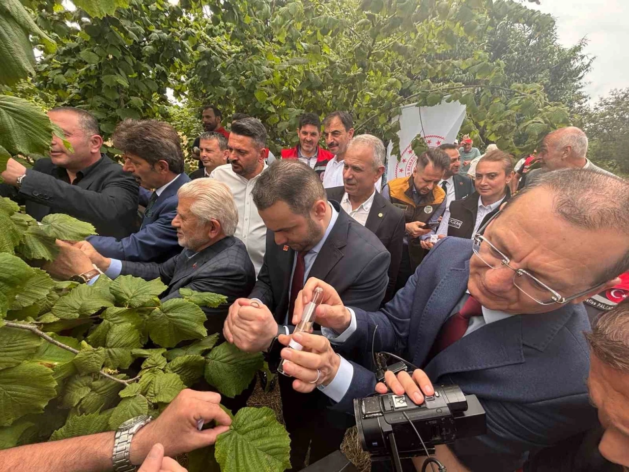 Trabzon&rsquo;da kahverengi kokarcaya karşı doğal ordu g&ouml;reve başladı
