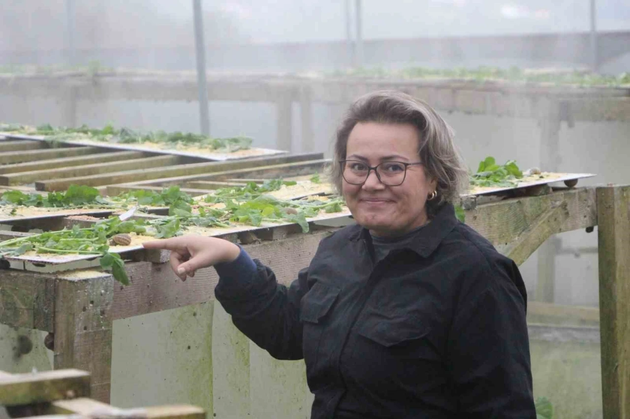 Trabzon’dan dünyaya ’Googlis’
