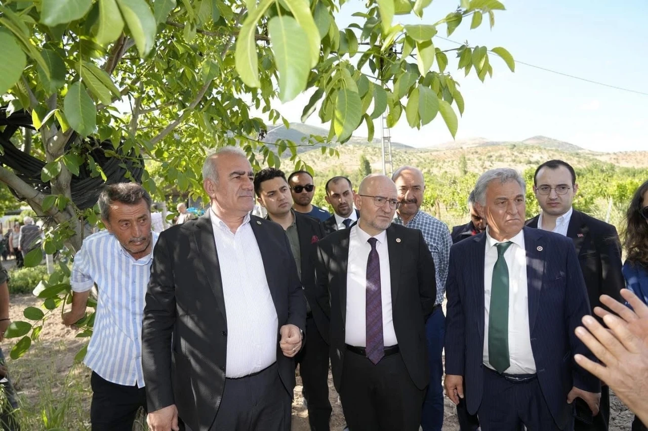 Trabzon hurması, dut ve incire destek &ouml;demesi başladı
