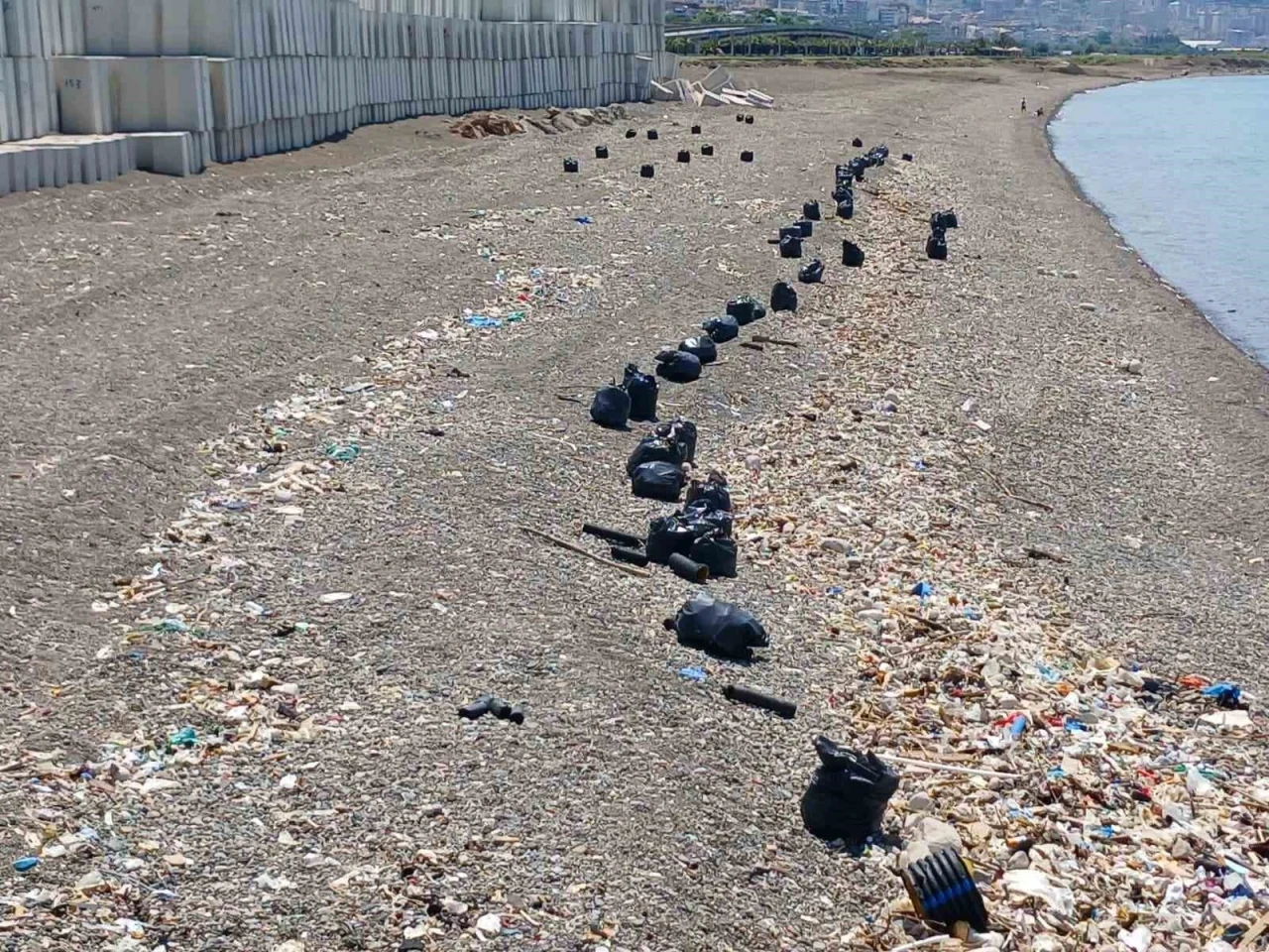 Trabzon sahilinde &ccedil;&ouml;p seferberliği
