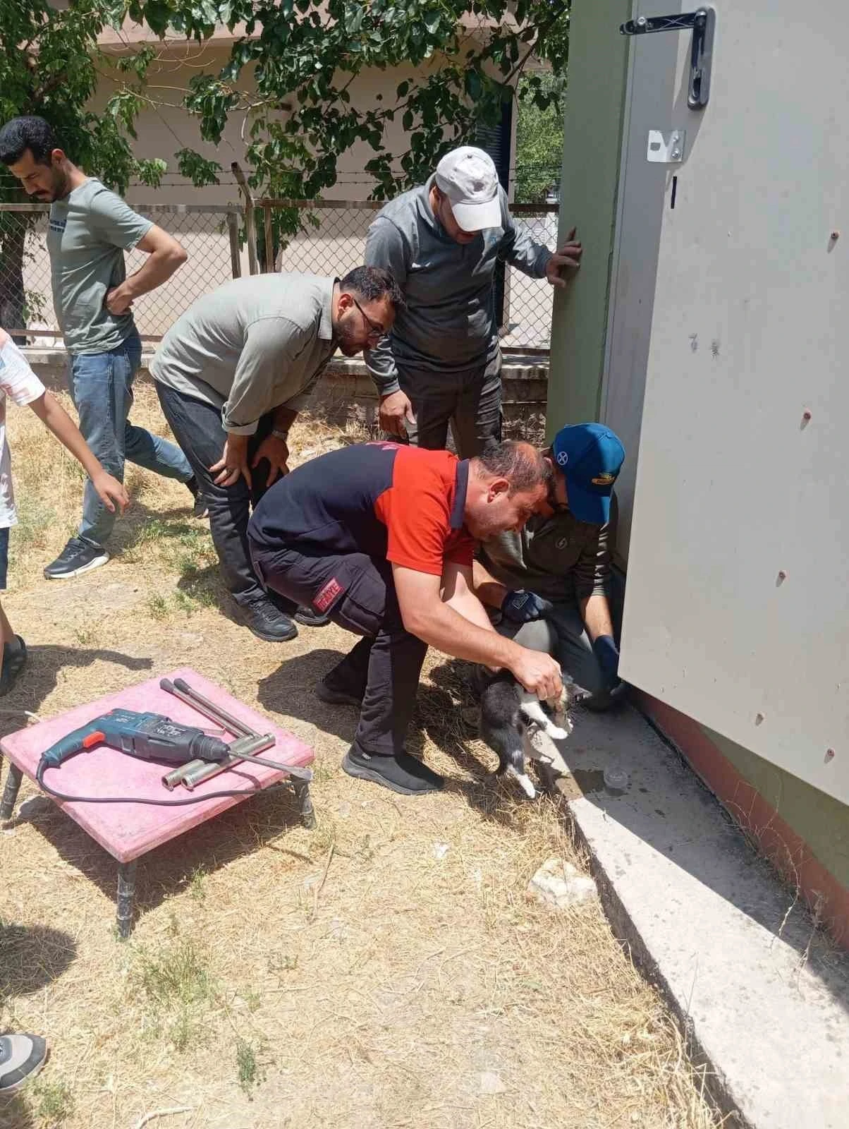 Trafo deliğine başı sıkışan kedi itfaiye ekiplerince kurtarıldı
