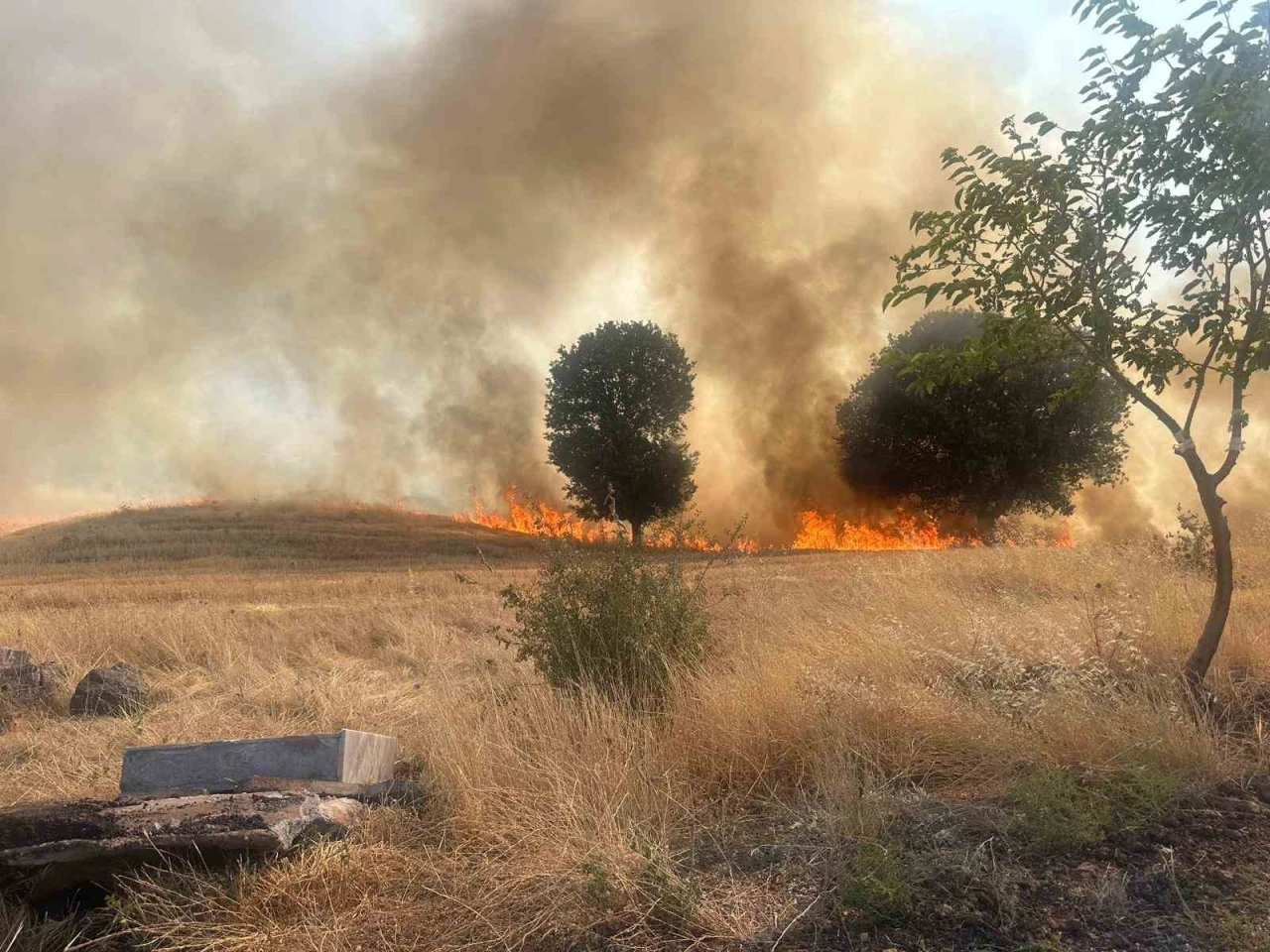 Trafo yangını ağa&ccedil;lık alanı yok etti
