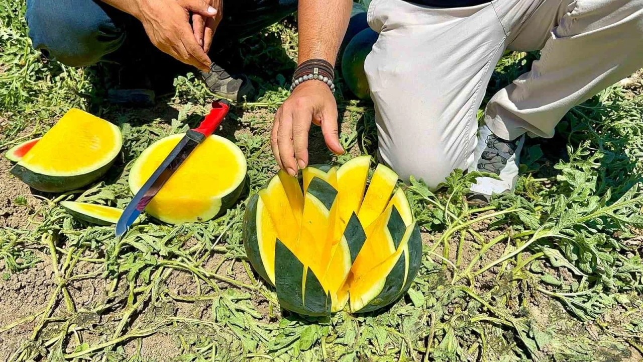 &rsquo;Tropical Sunshine&rsquo; &uuml;reticinin y&uuml;z&uuml;n&uuml; g&uuml;ld&uuml;r&uuml;yor
