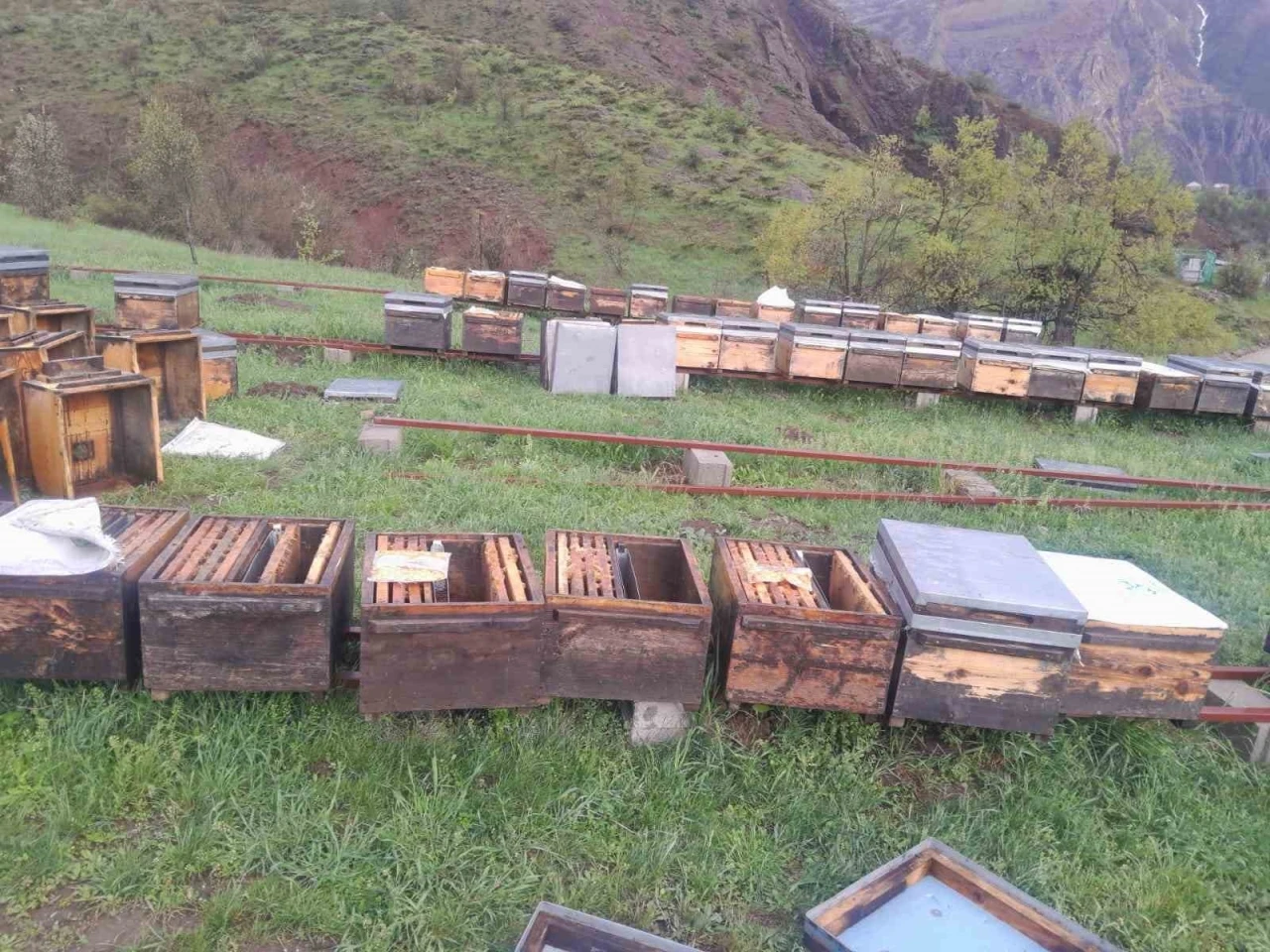 Tunceli Arı Yetiştiricileri Birliği Başkanı Doğan, &quot;Fırtınadan zarar gören arıcılar TARSİM’e başvurmalı&quot;
