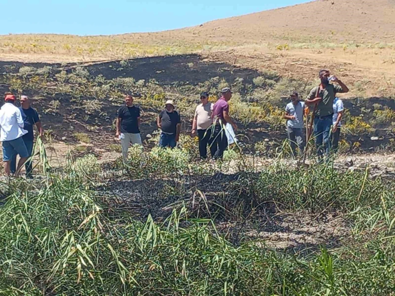 Tunceli’de ekili alanda çıkan yangın, zamanında müdahaleyle söndürüldü
