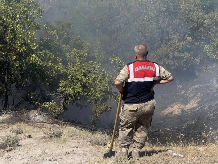 Tunceli’de otluk ve ormanlık alanda yangın
