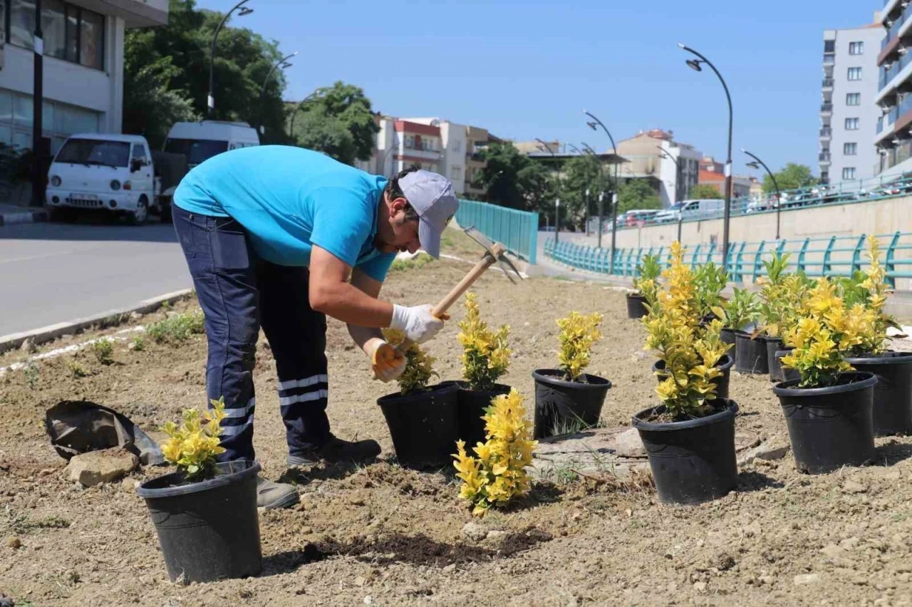 Turgutlu Belediyesi Park ve Bahçeler Müdürlüğü ekipleri kenti güzelleştiriyor

