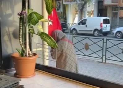 Türk bayrağını öpen teyzenin görüntüsü yürekleri ısıttı
