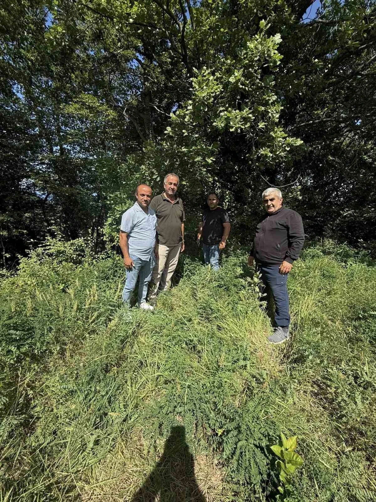 Türkeli’nin 5 köyüne baz istasyonu
