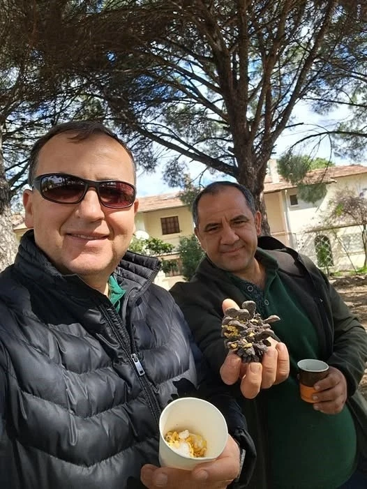 T&uuml;rkiye &ccedil;am balı &uuml;retiminde d&uuml;nya birincisi
