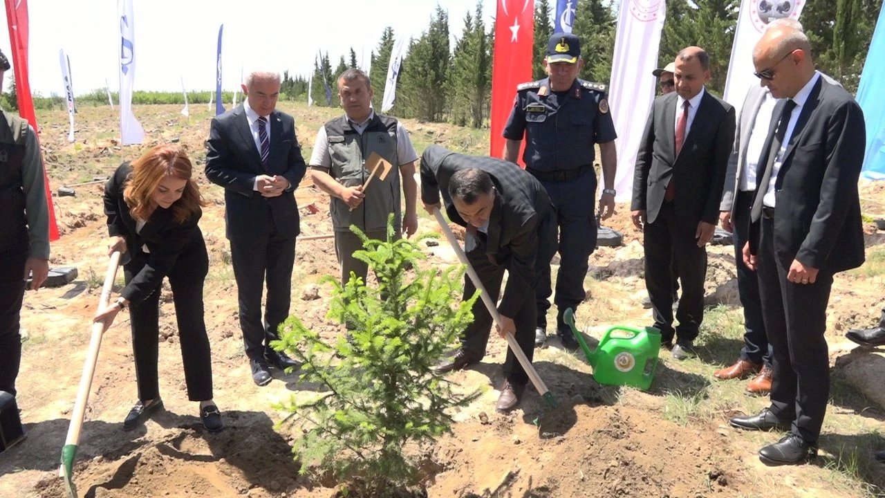 Türkiye’de &quot;81 İlde 81 Orman&quot; projesi kapsamında 81 ilde 2,2 milyon fidan toprakla buluşacak
