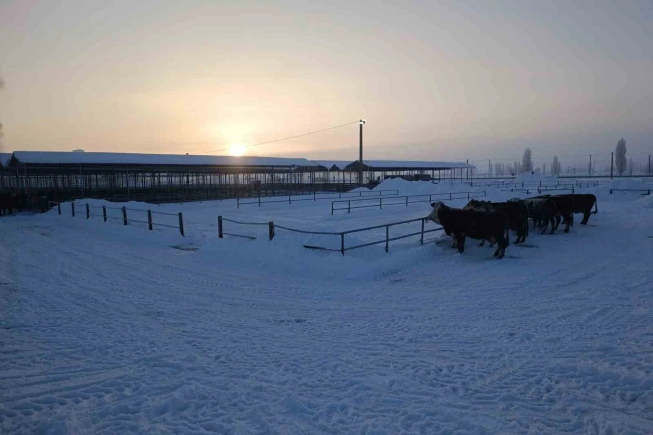 T&uuml;rkiye&rsquo;nin en b&uuml;y&uuml;k hayvan pazarı ağır kış şartları nedeniyle kapatıldı
