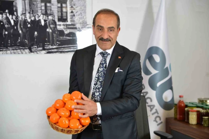 Türkiye’nin narenciye ihracatı yüzde 16 artışla 475 milyon dolar oldu
