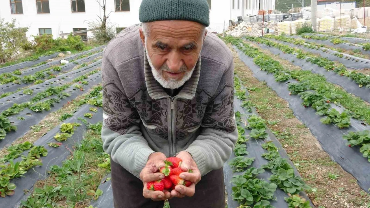 T&uuml;rkiye onu yoldan ge&ccedil;enlere bah&ccedil;esinden ikram ettiği meyvelerle tanıdı, bug&uuml;n acı haber geldi
