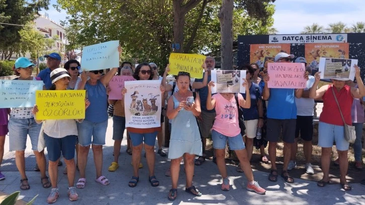 Türkiye, sokak dostları için ayaktaydı