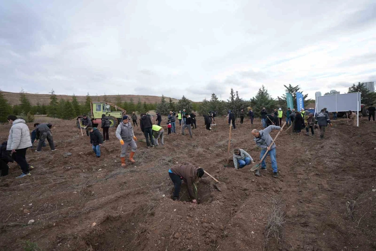 TUSAŞ şehitleri anısına binlerce fidan toprakla buluştu
