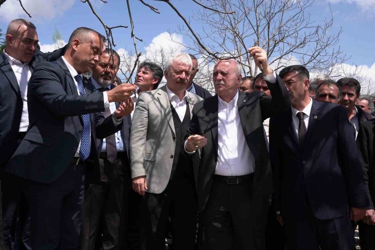 TZOB Başkanı Bayraktar, Kahramanmaraş’ta zirai dondan etkilenen bahçeleri inceledi

