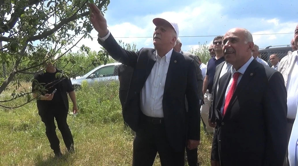 TZOB Başkanı Bayraktar: &quot;Don hadisesi Türkiye’nin yaklaşık 65 ilinde özellikle meyve ürünlerimize büyük zarar verdi&quot;

