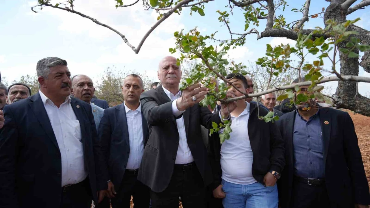 TZOB Genel Başkanı Bayraktar, Gaziantep’te dondan etkilenen bahçeleri inceledi
