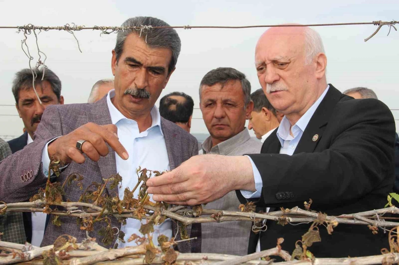 TZOB Genel Başkanı Bayraktar, Manisa’da don afeti sonrası bağlarda incelemelerde bulundu
