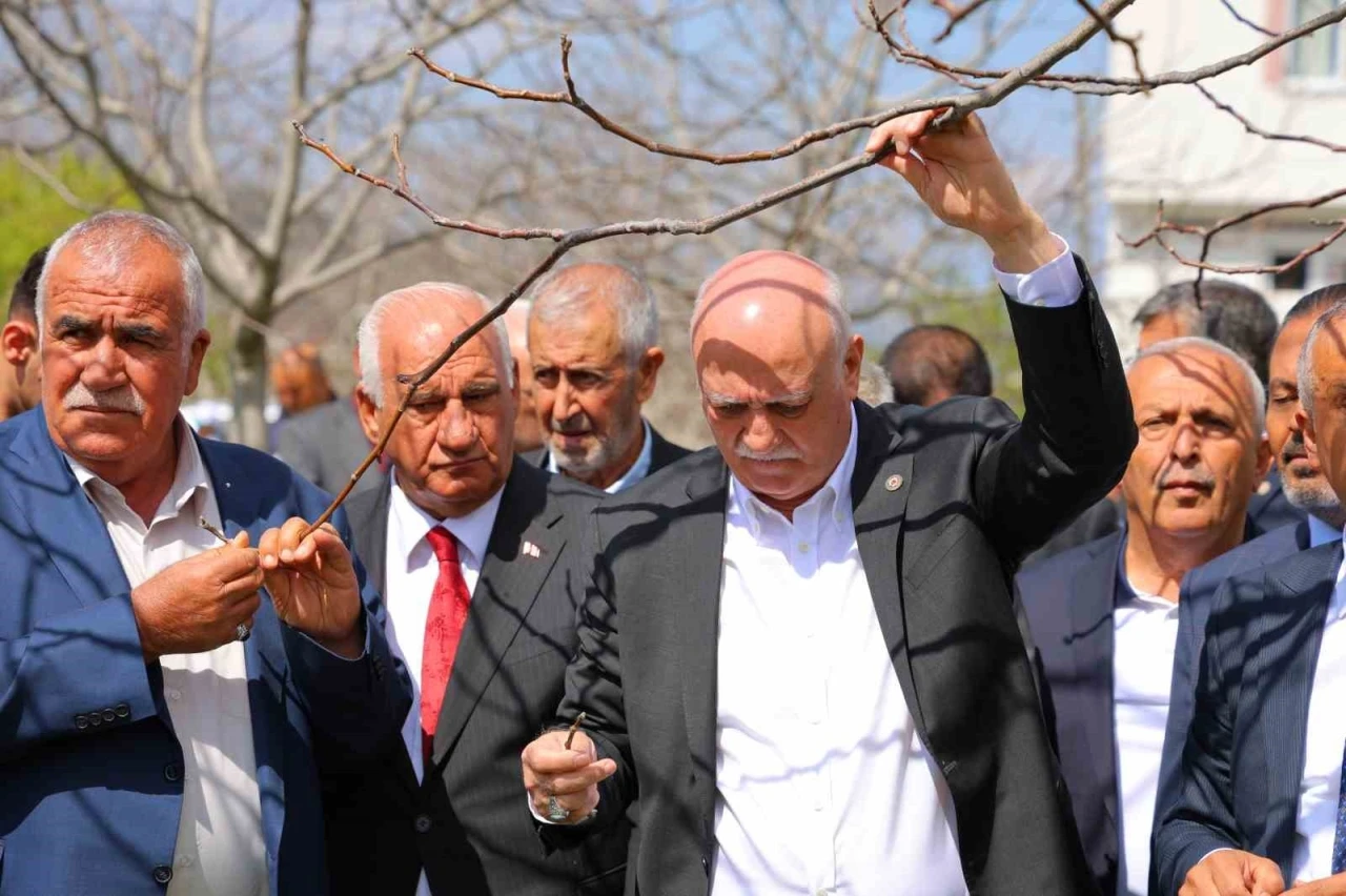 TZOB Genel Başkanı Bayraktar: &quot;65 ilimizde meyve bahçelerimiz don felaketinden etkilendi&quot;
