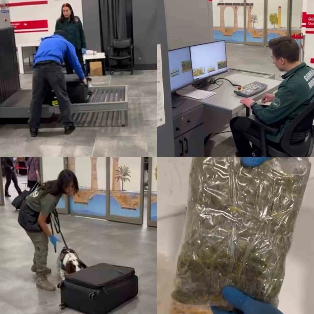 U&ccedil;akla gelen yolcunun valizindeki mısır gevreği kutularından uyuşturucu &ccedil;ıktı
