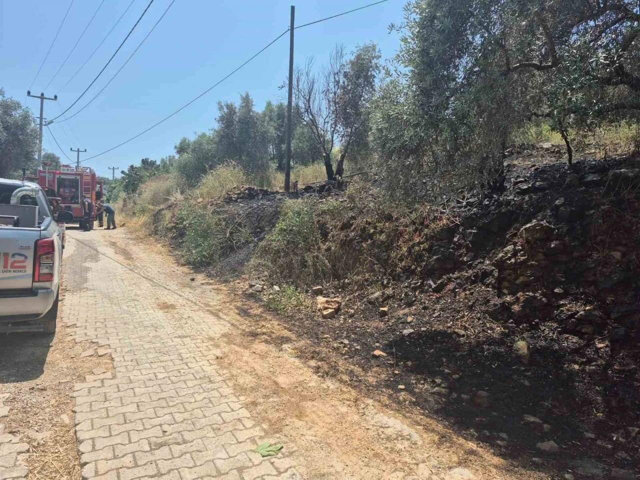 Ula’da yol kenarında çıkan yangın korkuttu
