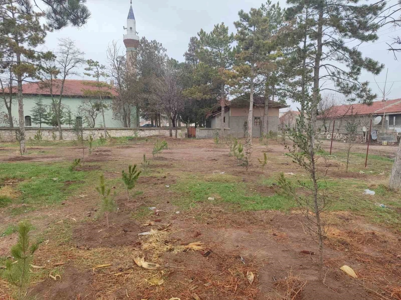 Umraniye k&ouml;yl&uuml;leri 300 adet fidanı okul ve camii bah&ccedil;esine diktiler
