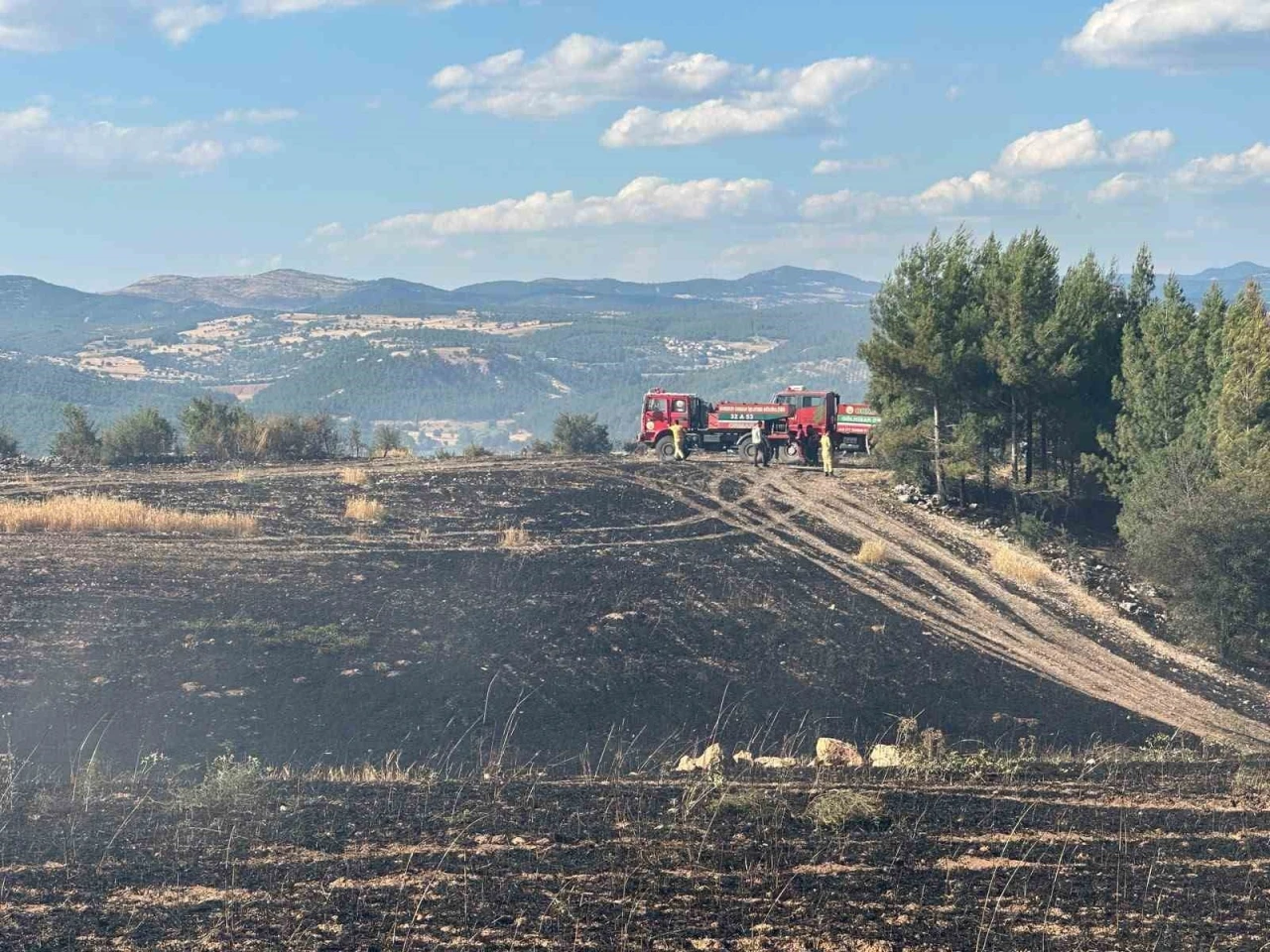 Uşak&rsquo;ta ormanlık alana sı&ccedil;rayan yangın s&ouml;nd&uuml;r&uuml;ld&uuml;
