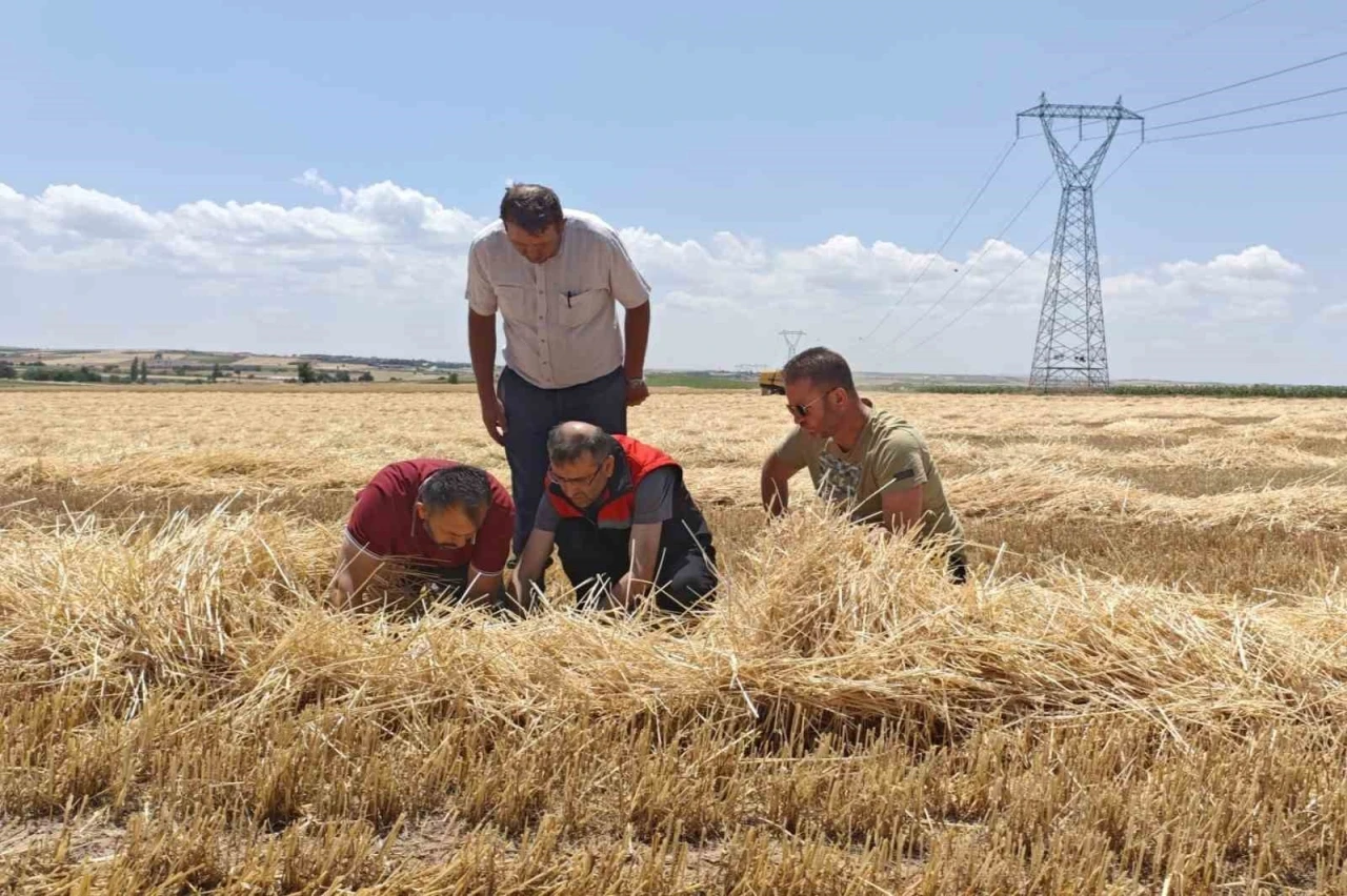 Uşak’ta tarım ekiplerinden biçerdöverlere sıkı denetim
