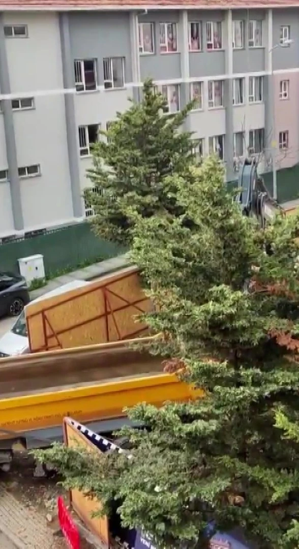 &Uuml;sk&uuml;dar Belediyesi&rsquo;nin ruhsat verdiği inşaat alanında ağa&ccedil;lar kesildi
