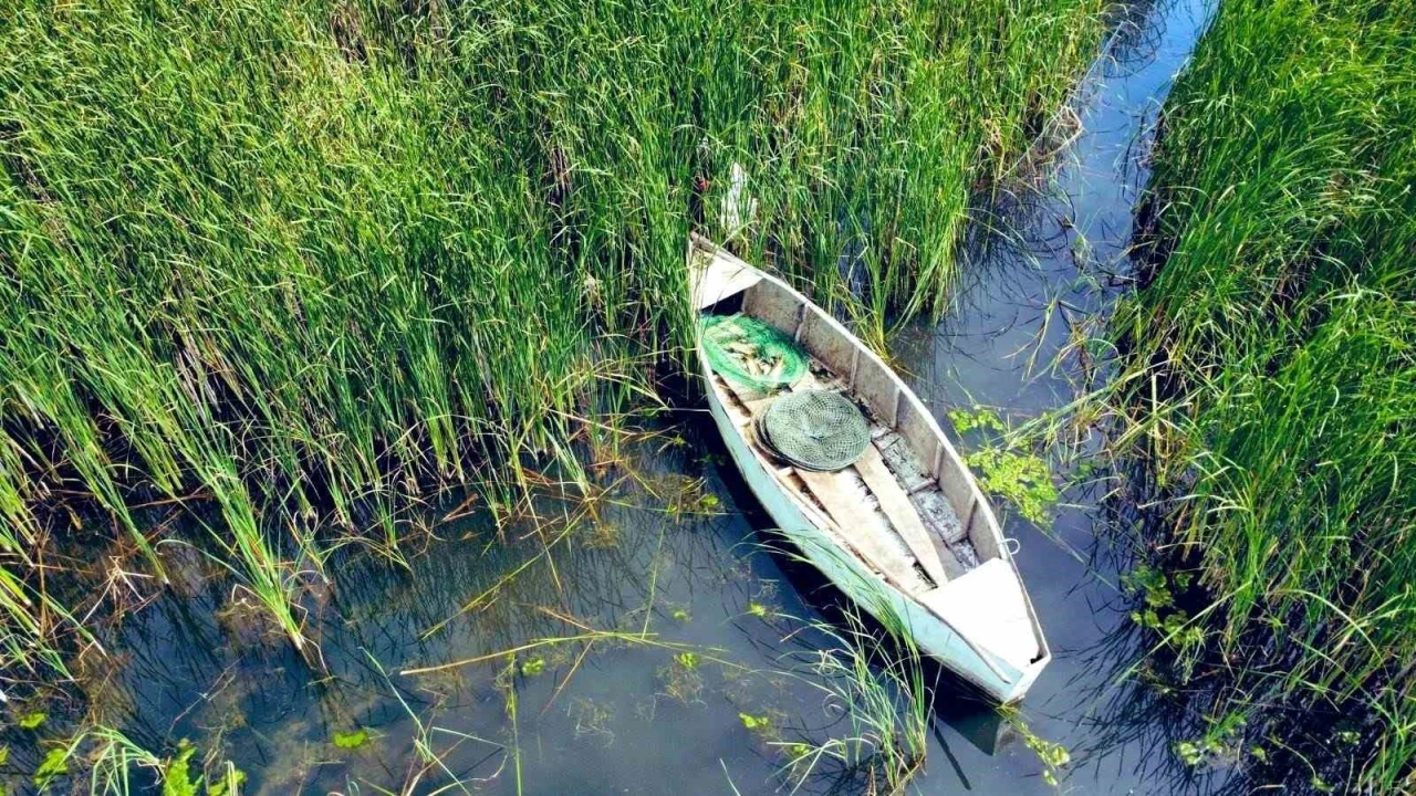 Usulsüz avcılara 67 bin lira ceza
