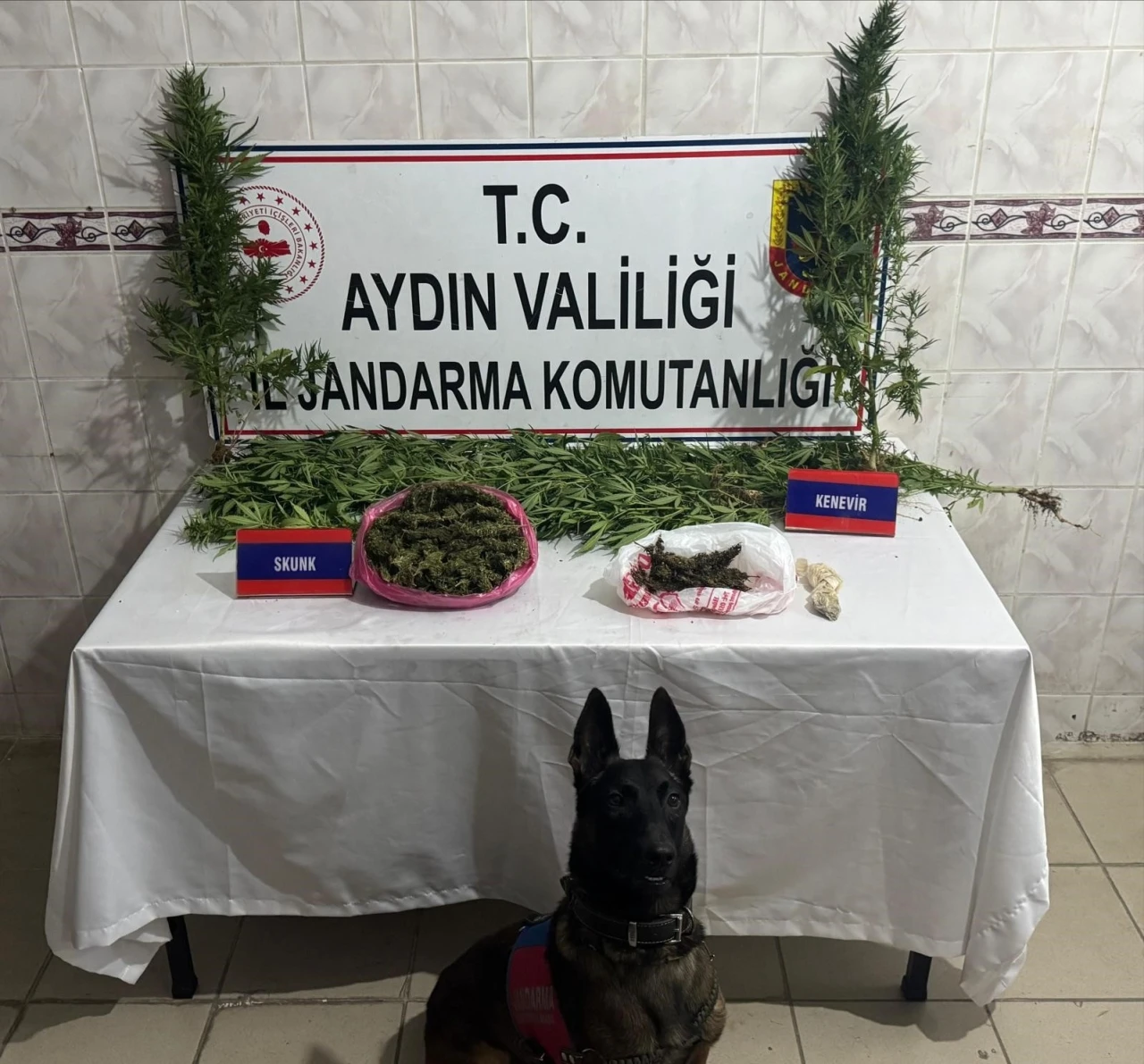 UyuÅŸturucu satıcısının evinde 498 gram skunk ele geçirildi