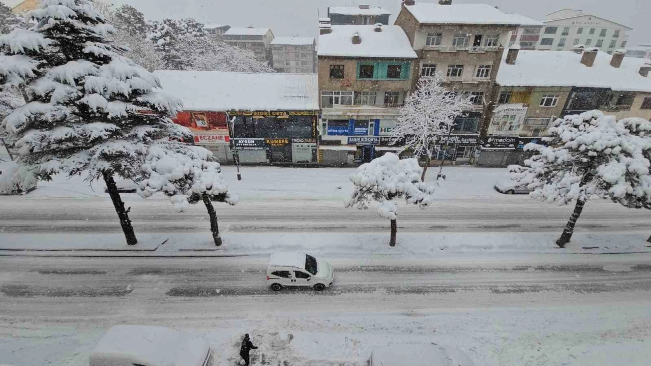 Uzmanından Bitlis i&ccedil;in "kar ve su hasadı" uyarısı
